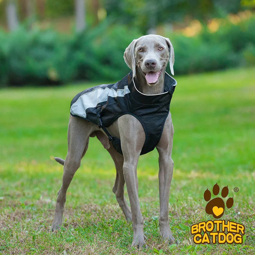 north face dog jacket