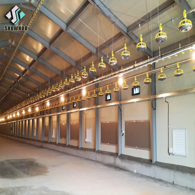 Low Cost Steel Structure Architectural Shed Design Poultry Farm House Construction