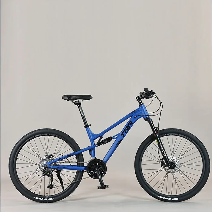 battery for electric bicycle Long-Lasting ASOMTOM E-Bike Battery – Reliable Power for Every Ride MAMMOTH