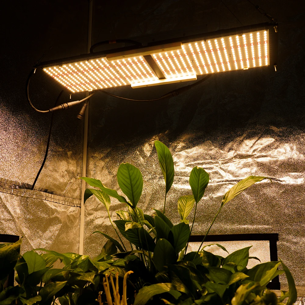 Meiju Samsung LM301B 240W Full Spectrum LED Grow Light for Medical