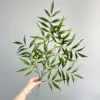 Plane Yellow Heavenly Bamboo