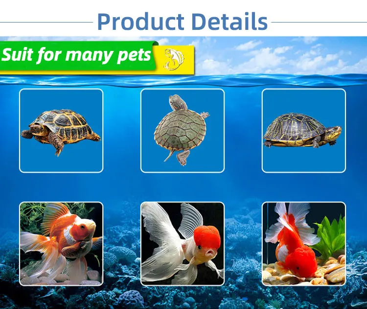 Decoration High Transparency Fish Tank Square Clear Plastic Aquariums