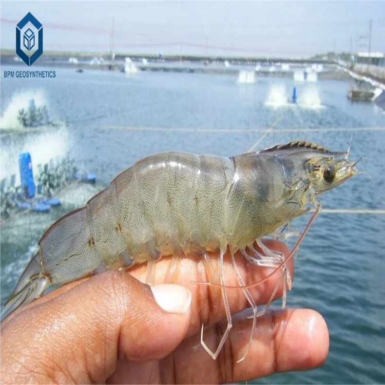 Reinforced Heavy Pond Liner HDPE Geomembrane for Fish Farming in Thailand