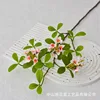 Long-branched island spring flowers - white and pink