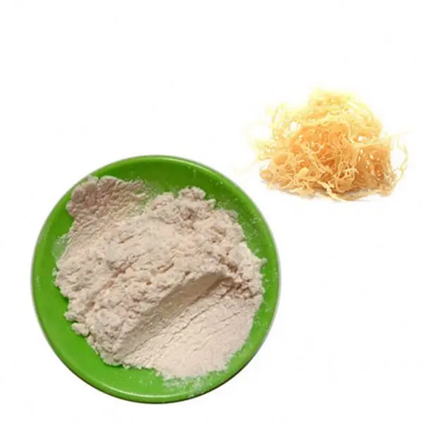 china top manufacturer: agar agar powder for food additives
