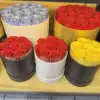 52 roses