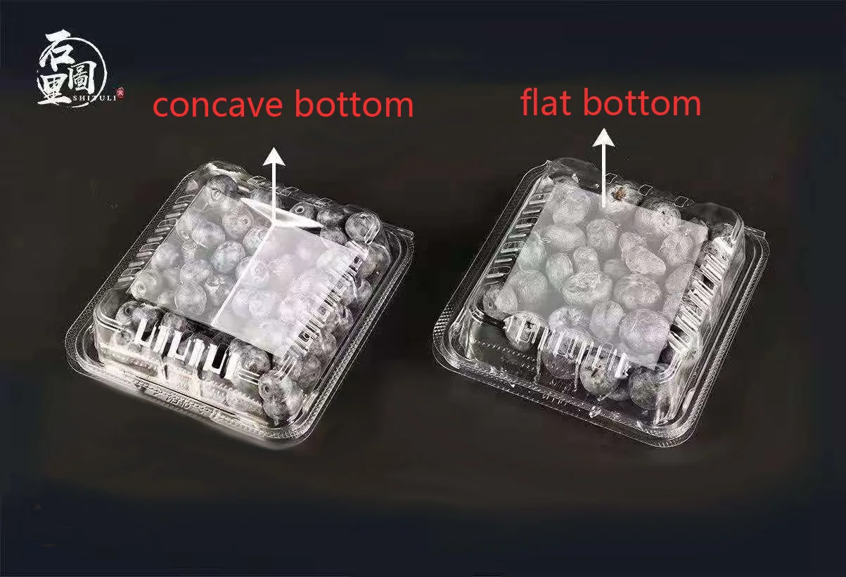 250g Transparent Blueberry Box Packaging Clamshell Disposable Plastic ...