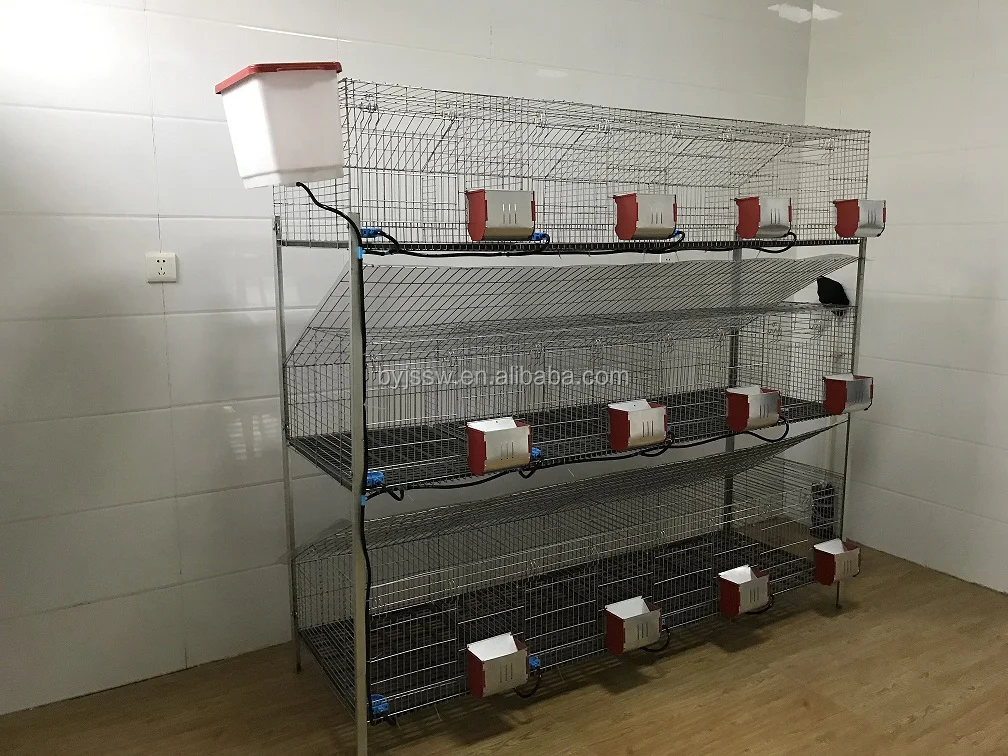 Commercial Rabbit Breeding Cages In Kenya Buy Rabbit Breeding Cages