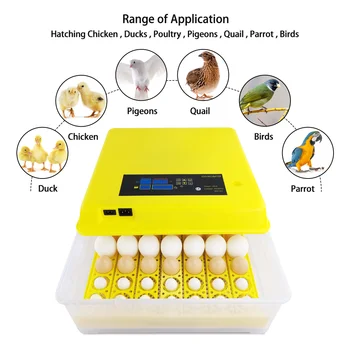 2020 New model Poultry fully automatic small hatching machine 220v 12 volt chicken 56 eggs mini incubator