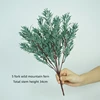 Wild Mountain Fern - Grey