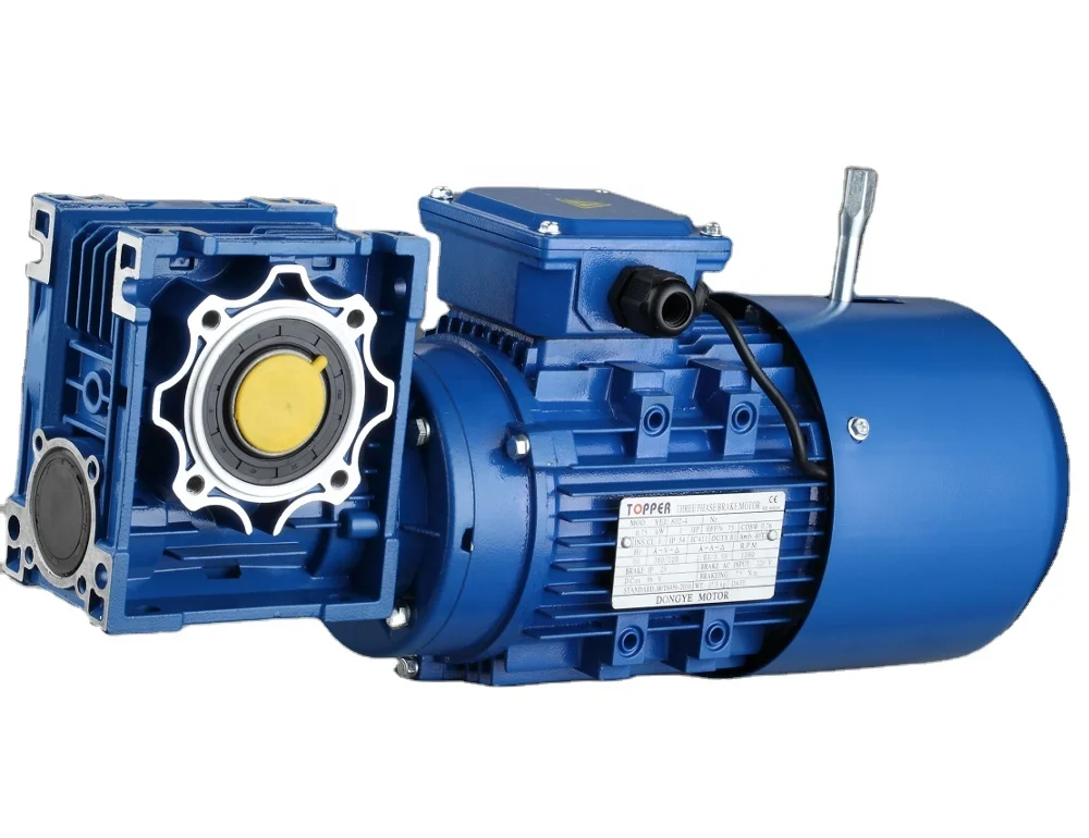 High Quality YEJ2 Electromagnetic Power-cut Brake DC Three Phase Motor with Worm Gearbox Use for Grain Processing Machinery