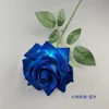 Grande Rose à Cornes - Bleue