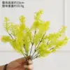 Fennel stalks yellowish-green