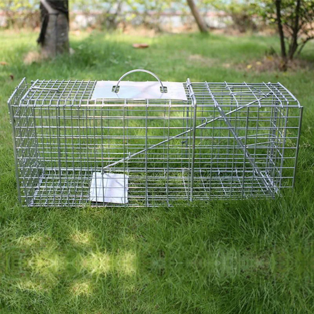 Live Animal Trap Cage Humane Cat Trap Rabbit Trap Humane Mouse Trap Live  Traps for Raccoons Small Animal Trap Squirrel Traps Outdoor Groundhog Trap,  24'' Steel Humane Release Rodent Cage 