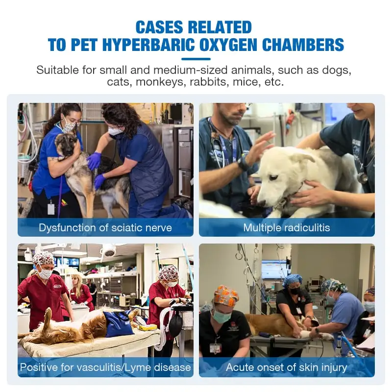 Oxyair Pets Veterinary Hyperbaric Chamber Hard Type Small Animal