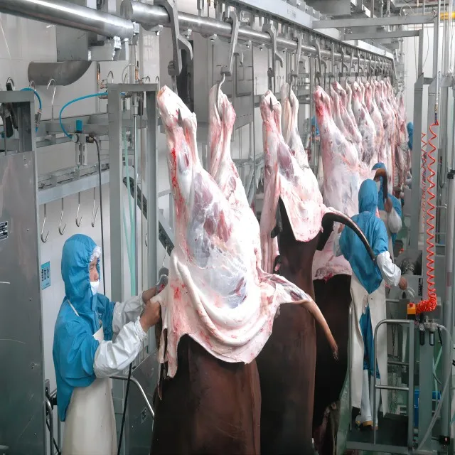 Customizable cattle slaughtering lines for modern slaughterhouses and meat processing plants