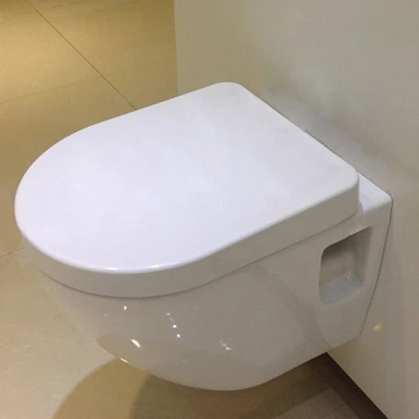 Boat Toilet Seat Bathroom Easy Toilet Europe Ce Washdown One Piece