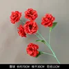 ดอกเอเดลไวส์ 6 ดอก