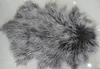 Grey snow tips