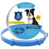 Blue Dog 62cm