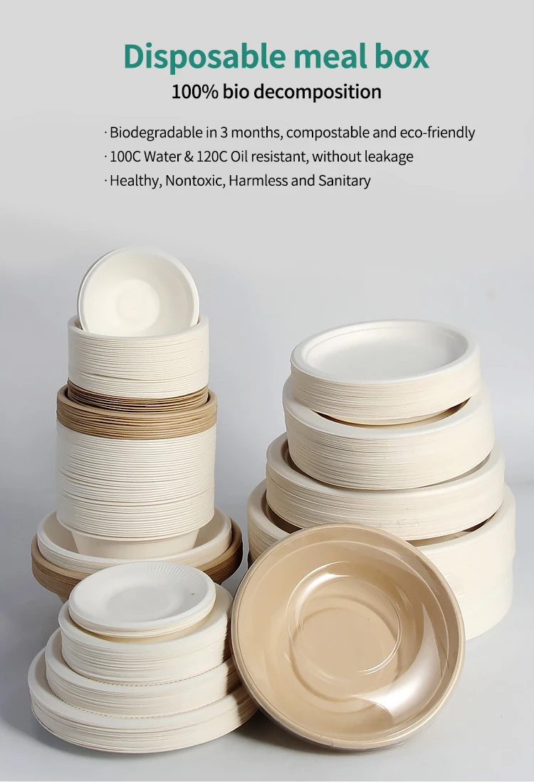 Jijid Disposable Biodegradable Plates Sugarcane Bamboo Paper Plate