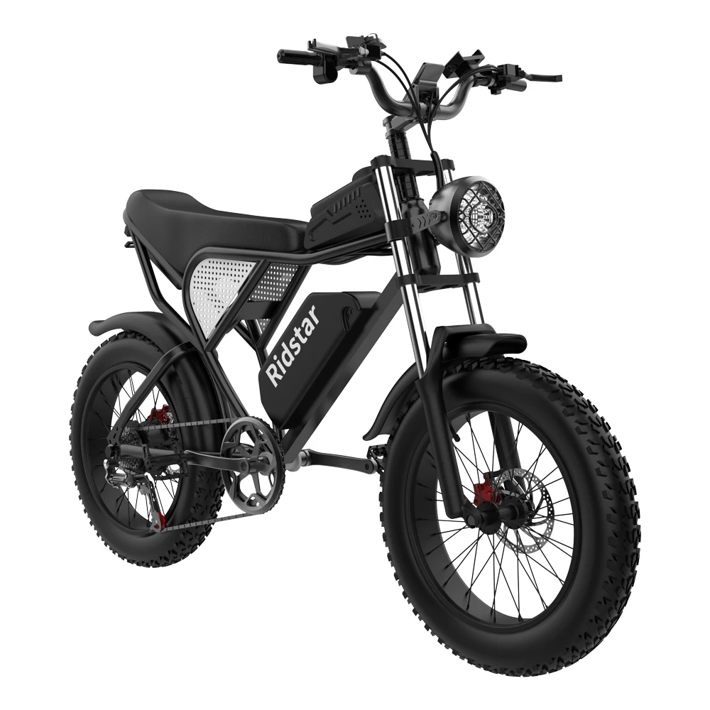 electric bike biciclette elettriche fulgur