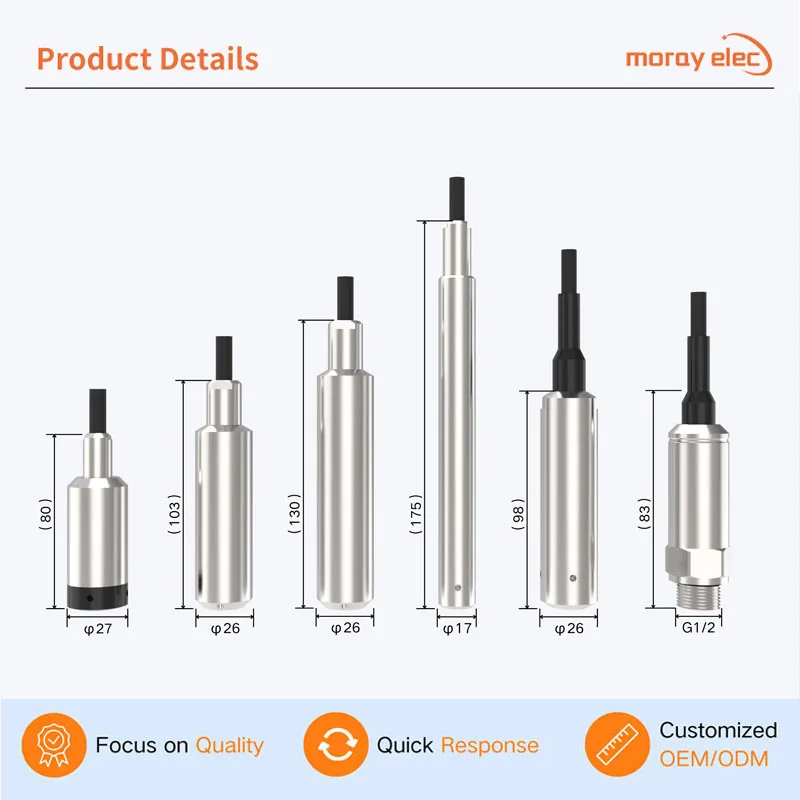 RS485 4-20mA Original Manufacture OEM 1-5m IP68 Stainless Steel Water ...