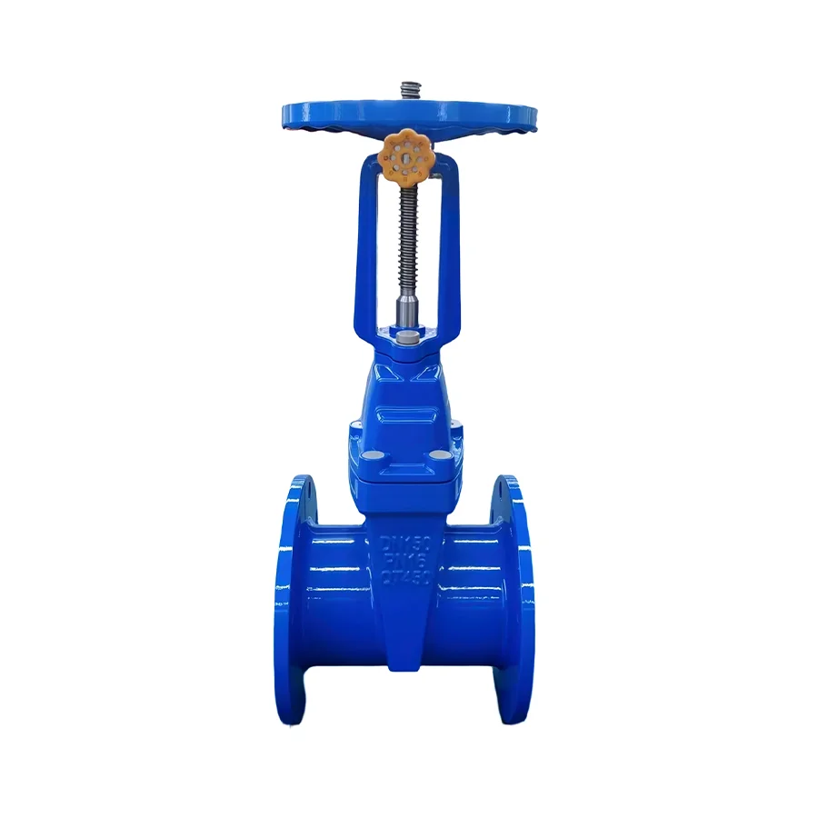 Lockable Manual Rising Stem Resilient Seat Gate Valve Flange Connection Blue Soft Seal Triple NBR O-Rings for Fresh Water