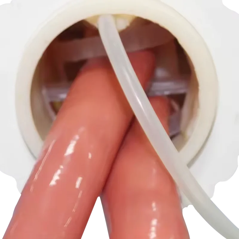 ADA-J50 Trachea Intubation Training Model With Alarm Device Airway School Teaching Manikin Neonate Infant Trachea Mode