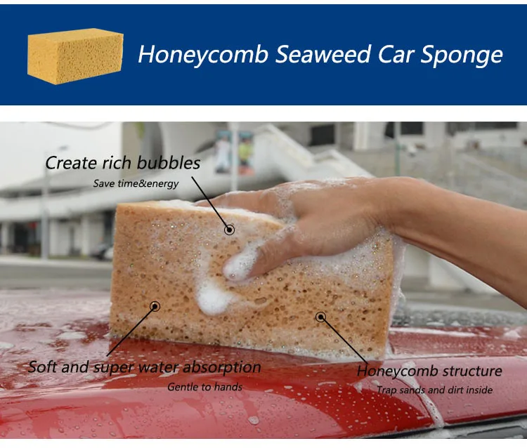 New Design Strong Clean Abality 8 Shape Seaweed Car Wash Cleaning Sponge -  China Cleaning Sponge and Car Sponge price