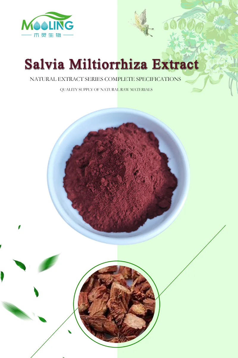 Pure Salvia Miltiorrhiza Extract Salvia Miltiorrhiza Powder Danshen ...