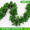 90-leaf gecko leaf [5 pieces]