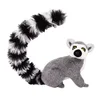 Lemur de cola anillada