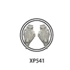 XP541