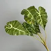 7 pavoni neri-verde chiaro