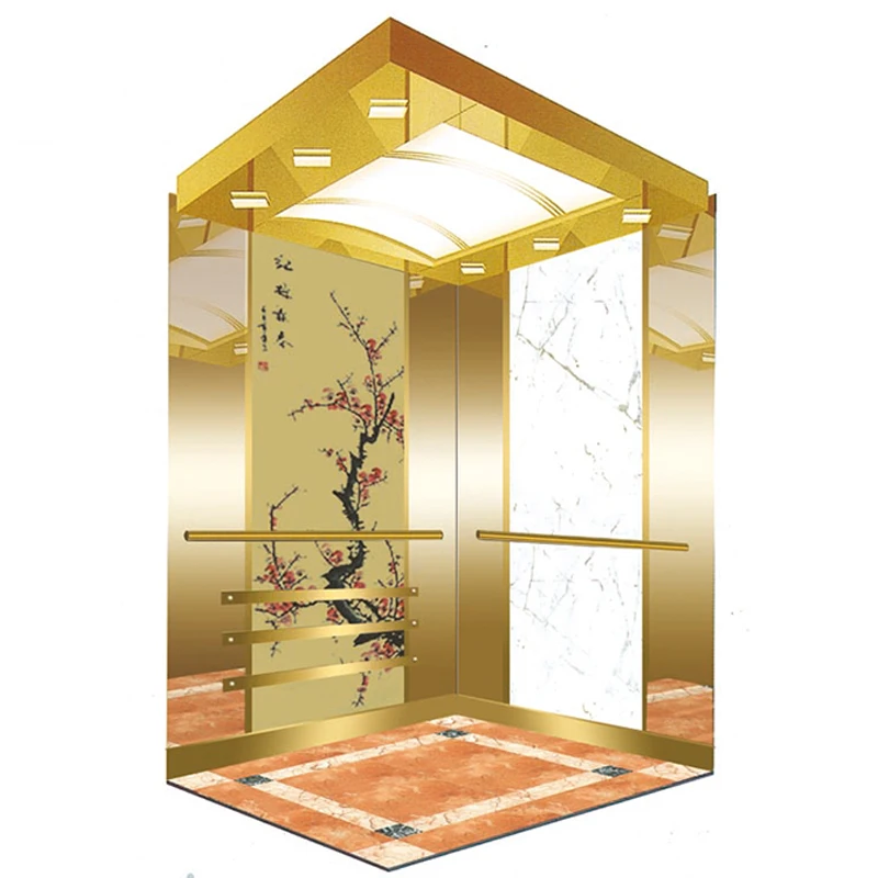 1000KGS VVVF Control Passenger Elevator Cost
