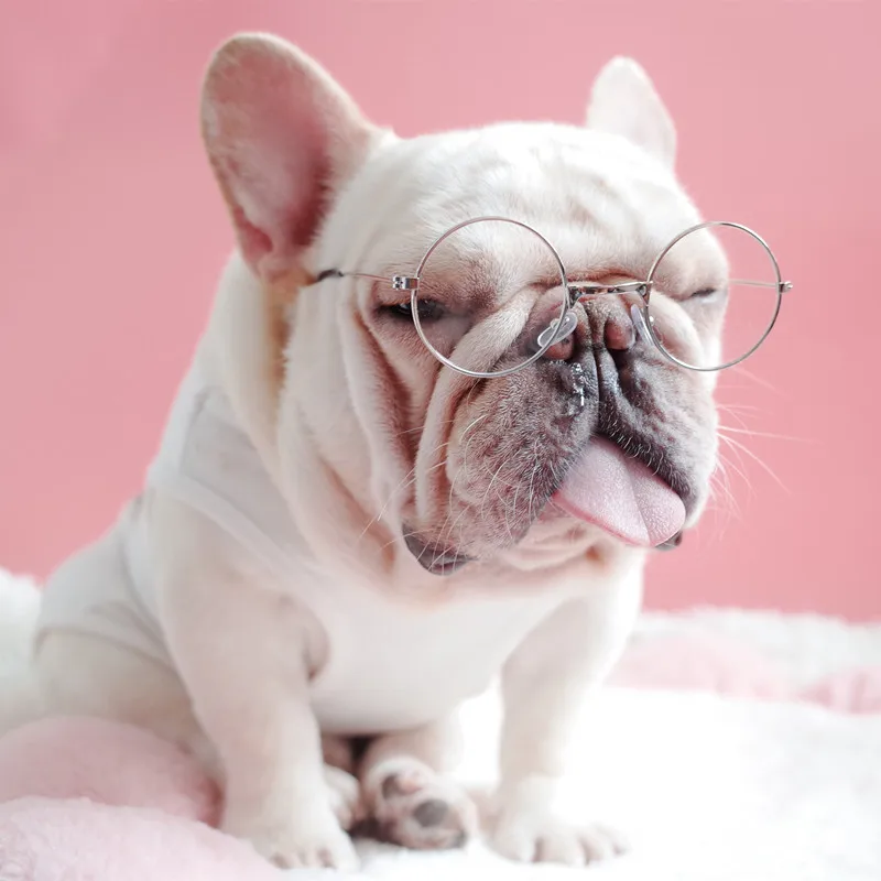 round fashion anti blue light pet dog sun glasses decorative