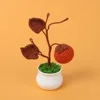 persimmon potted plant