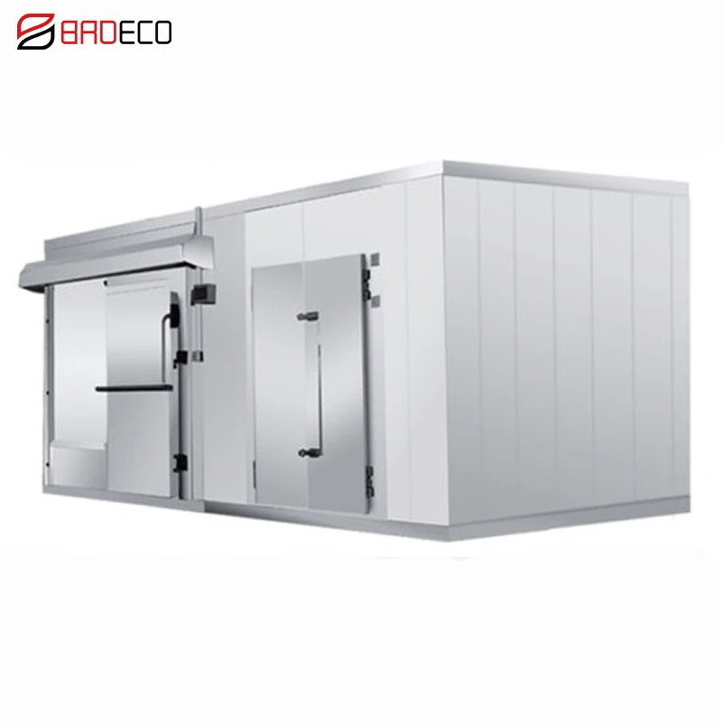 20Ft 40Ft Cold Storage Solar Container Cold Room Freezer System Cold Room Storage Price