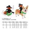 B06406 zucca a cavallo
