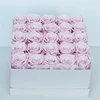 Rosa-25-Quadrato