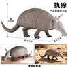 colorido 1194 armadillo