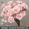Cherish 1 rose