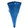 Blu-chiaro