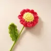 Ramo de margaritas pequeño terminado (rojo rosa)
