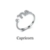 Capricorno
