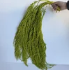Giallo verde