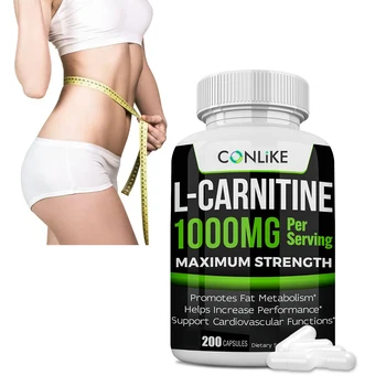 Carnitine Supplement 500mg Acetyl L Carnitine Capsules Factory Customized Extra Strength L