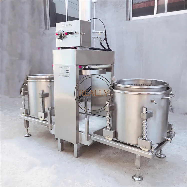 Double Barrel Commercial Hydraulic Carrot Cold Press Juicer Extractor