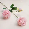2 fleurs et 1 bouton de Ranunculus vulgaris